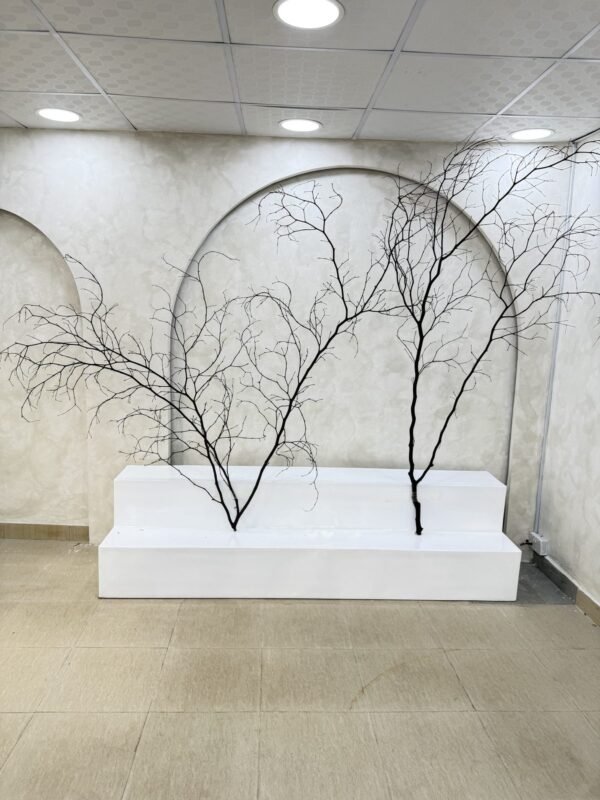 Decorative Twigs (Biggest), view 4