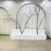 Decorative Twigs (Biggest), view 5