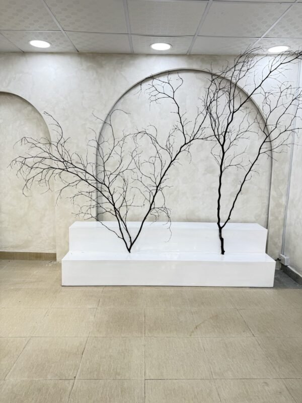 Decorative Twigs (Biggest), view 5