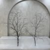 Decorative Twigs (Medium)