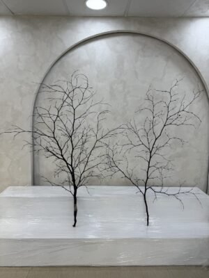 Decorative Twigs (Medium)