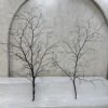 Decorative Twigs (Medium), view 5