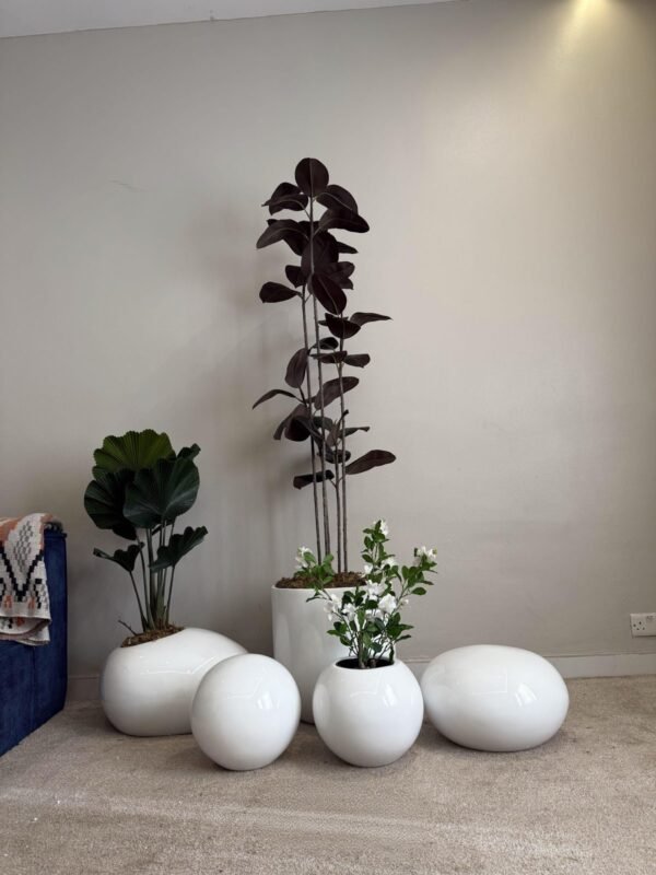 Glossy White Pot Cluster Styled with Artificial Black Ficus, Mini Gardenia and Fan Palm Glossy White Pot Cluster Styled with Artificial Black Ficus, Mini Gardenia and Fan Palm