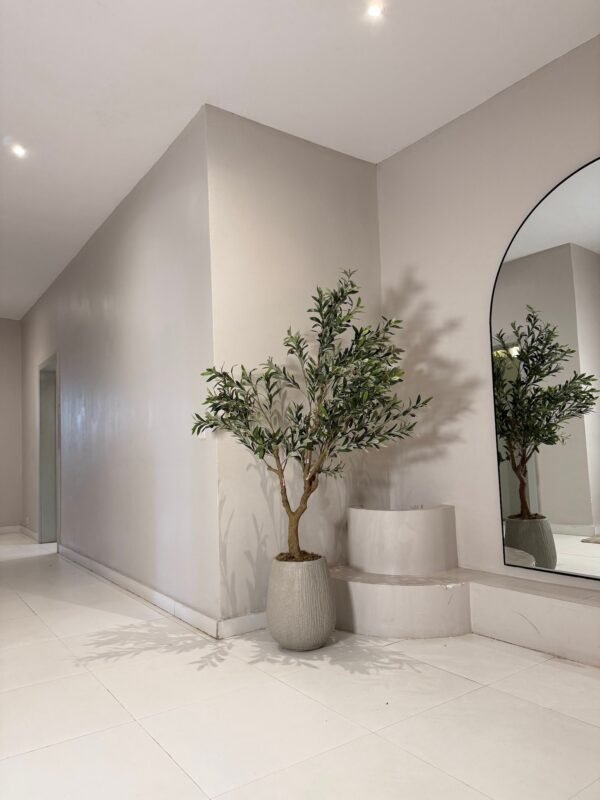Granite Nude Rough Small Merlot Pot with 180cm Artificial Wide Olive Tree