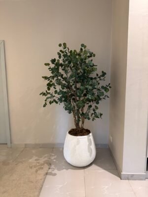 Granite White Rough Big Merlot Pot with Artificial Forest Eucalyptus