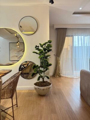 Iceberg Kirana Pot with Artificial Pine Tree
