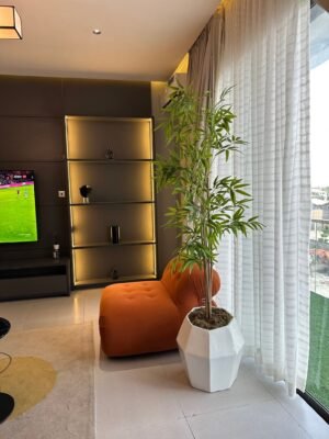 New Bamboo Tree in White Prism Pot