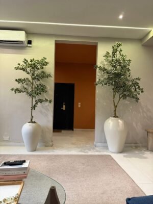 Off-White Small and Medium Size Odel Antique Pot Styled with Artificial White Edge Banyan Trees