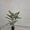 Palm-95cm