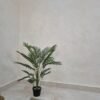 Palm-95cm, view 3