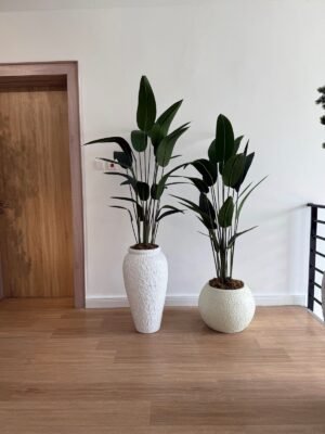 Textured White Small Nyx and Pale Orbis Pots Styled with Artificial Traveller Palm